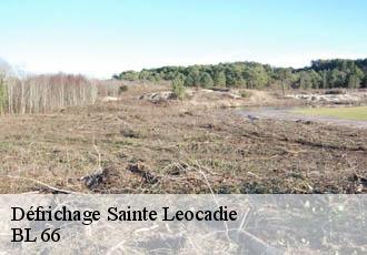 Défrichage  sainte-leocadie-66800 BL 66 