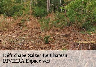 Défrichage  salses-le-chateau-66600 RIVIERA Espace vert