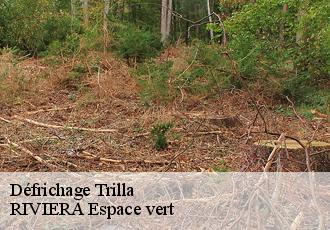 Défrichage  trilla-66220 RIVIERA Espace vert