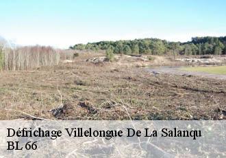 Défrichage  villelongue-de-la-salanqu-66410 BL 66 