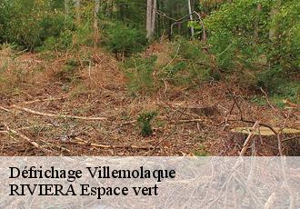 Défrichage  villemolaque-66300 RIVIERA Espace vert