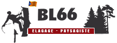 elagage-bl-66